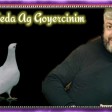 Vuqar Seda - Ag Goyercinim 2024