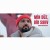 AHMED MUSTAFAYEV - MIN DUZ BIR SEHV (2025).mp3