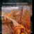 Tacir Sahmali Oglu - Yolun Dusse Bu Dunyaya Birde Gel (YUKLE).mp3 indir