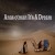 Anas otman  It_s A Dream_128K).m4a